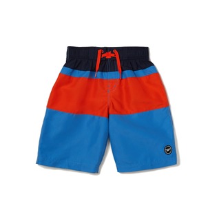 Speedo Print Boardshort 17