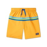 Speedo Colorblock Redondo Volley 15 Inch product image